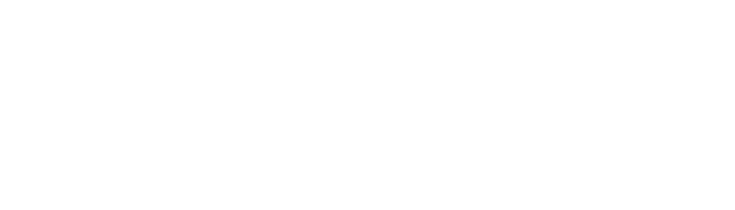 Snorkel AI logo lockup mono white outline png